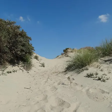 Aanzee * Hoek van Holland
