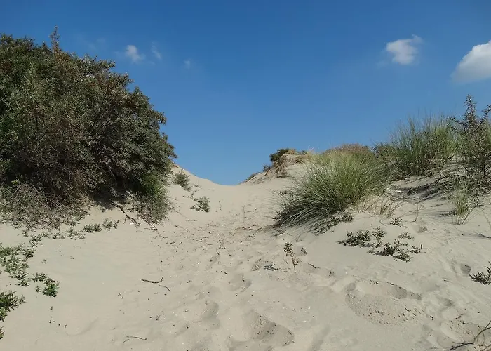 Aanzee * Hoek van Holland
