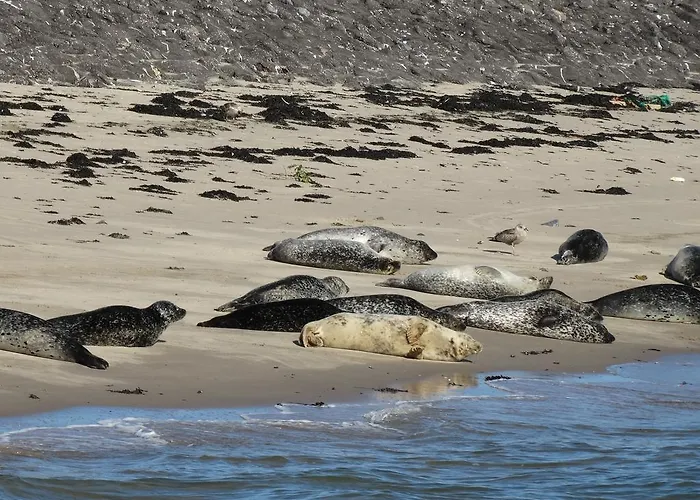 Aanzee Hoek van Holland