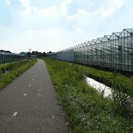 Aanzee Hoek van Holland