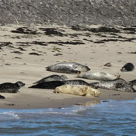 Aanzee Hoek van Holland