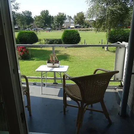 Aanzee Daire Hoek van Holland