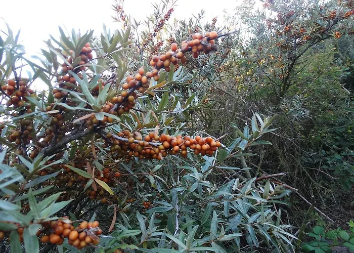 Aanzee Apartamento Hoek van Holland